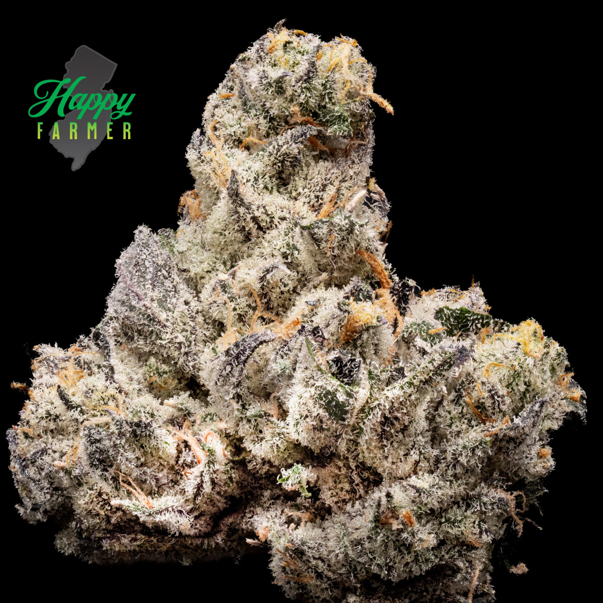 Photograph of product: Happy Farmer - Blackout Bobby flower - 3.5g