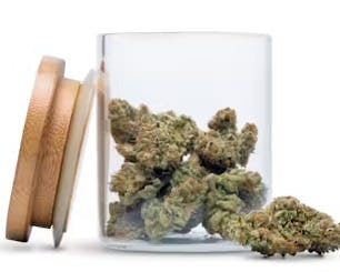 Photograph of product: Sour Diesel | 4G Flower