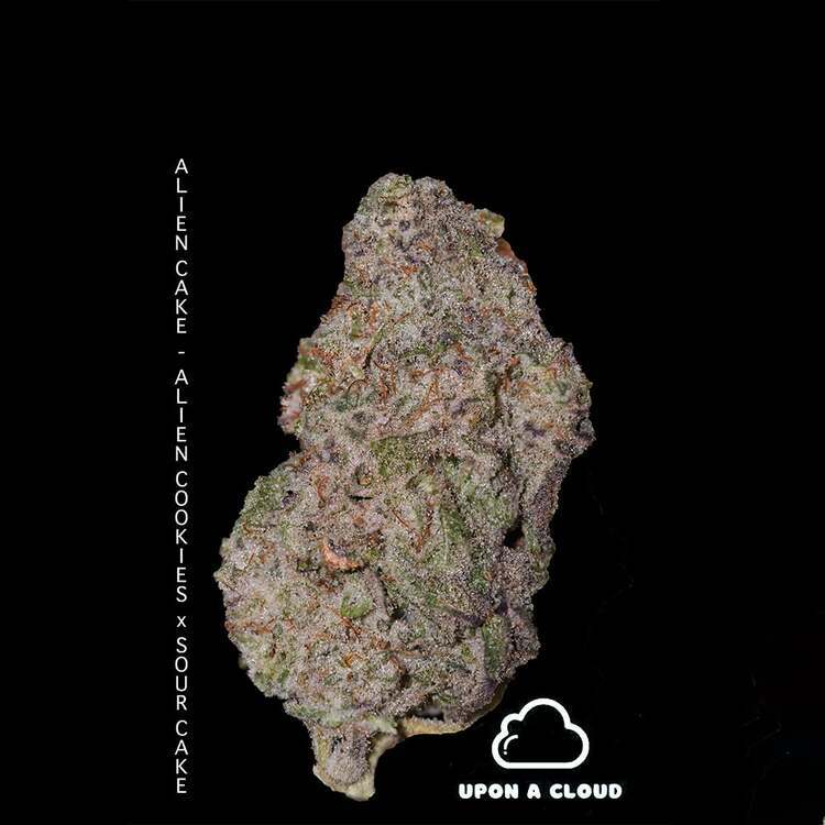 Photograph of product: Upon A Cloud: Strawberry Gelato - 1g