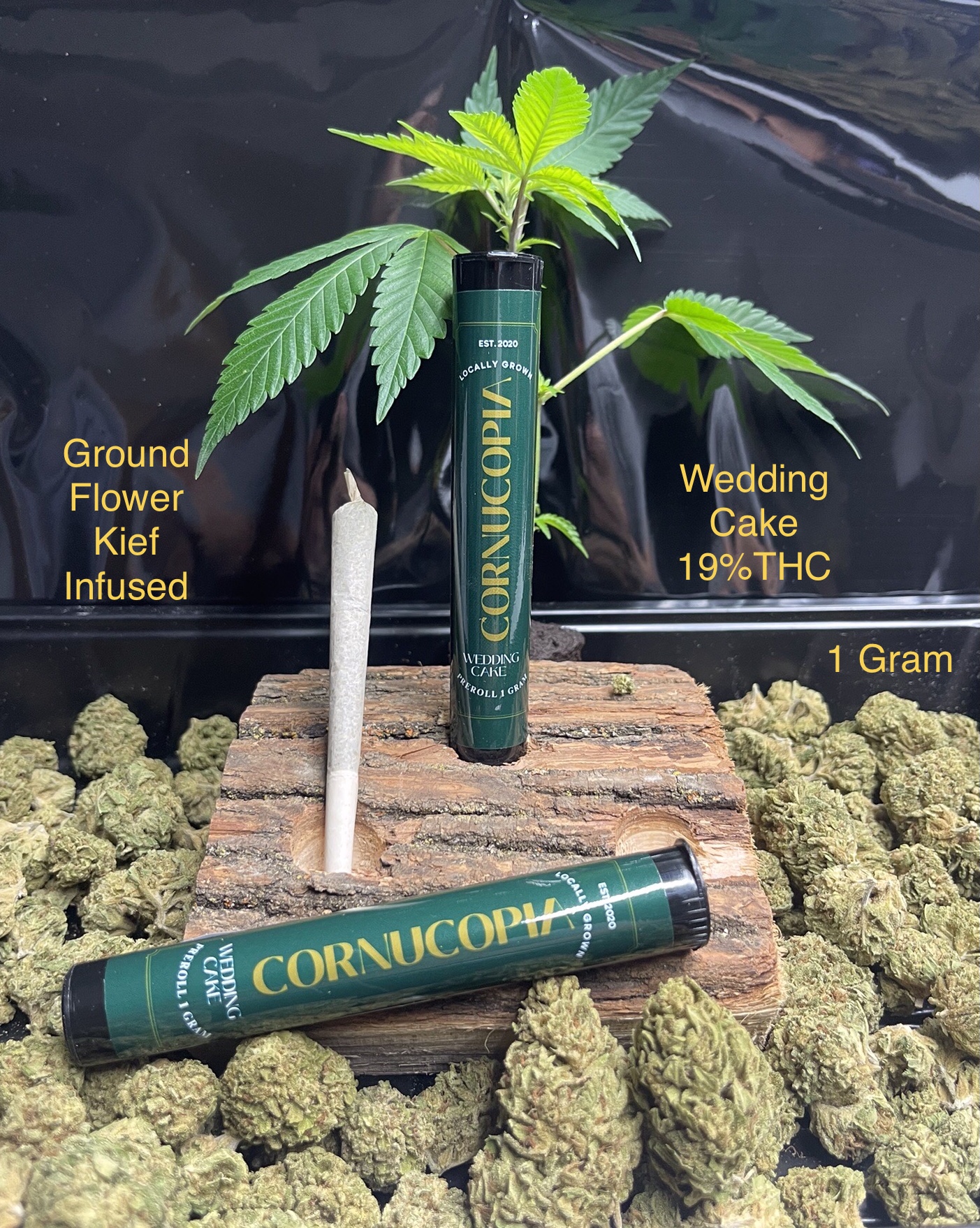 Photograph of product: Zkittlez | Infused | Single