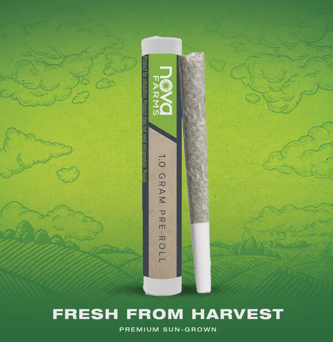 Photograph of product: Nova Farms - Wookie Pie 1g Pre-Roll