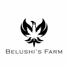 Photograph of product: Belushi's Farm - Apple Tartz - Bloom - BULK - 28g