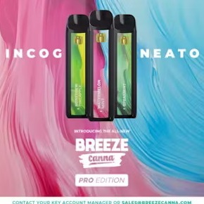Photograph of product: Breeze Pro Disposable - Spearmint