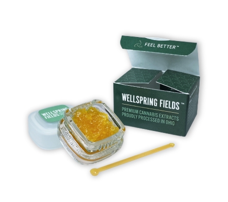 Photograph of product: Blimp City | Live Resin | 1g