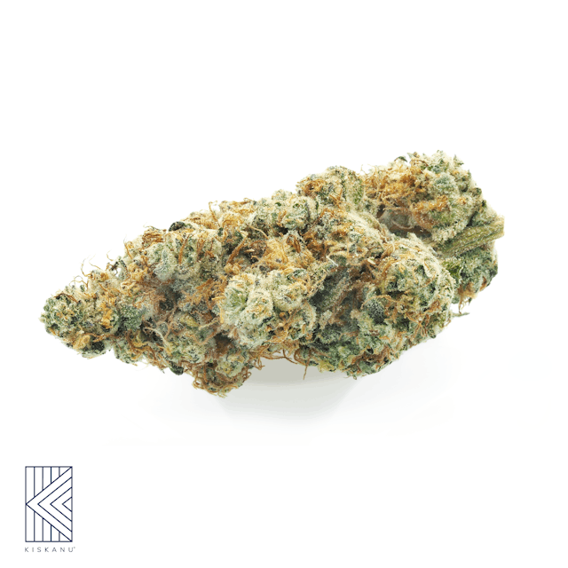 Photograph of product: GMO Indoor (1/8oz) - GMO Premium Indoor 1/8oz