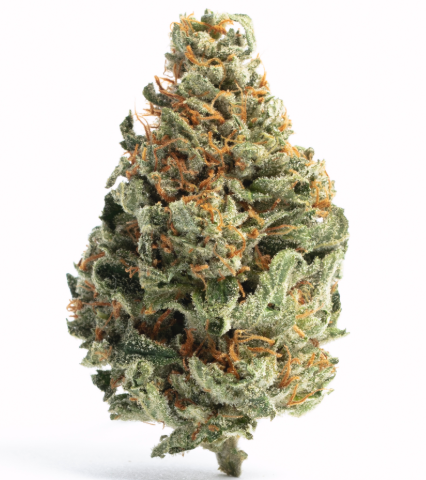 Photograph of product: Private Reserve | Flower (A Bud) | Snow Runtz | Hybrid - 28g