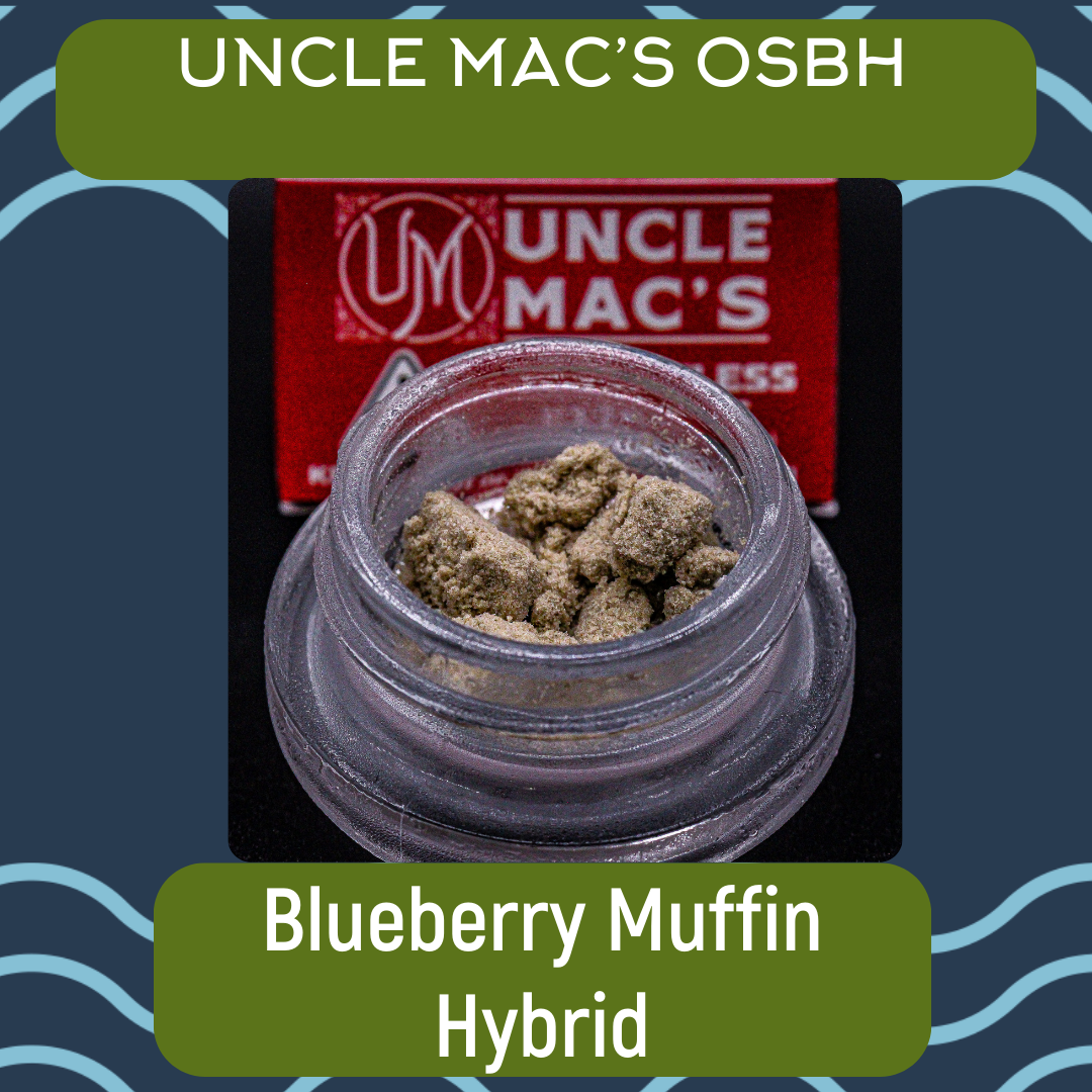 Photograph of product: Blueberry Muffin Bubble au chocolat | UM
