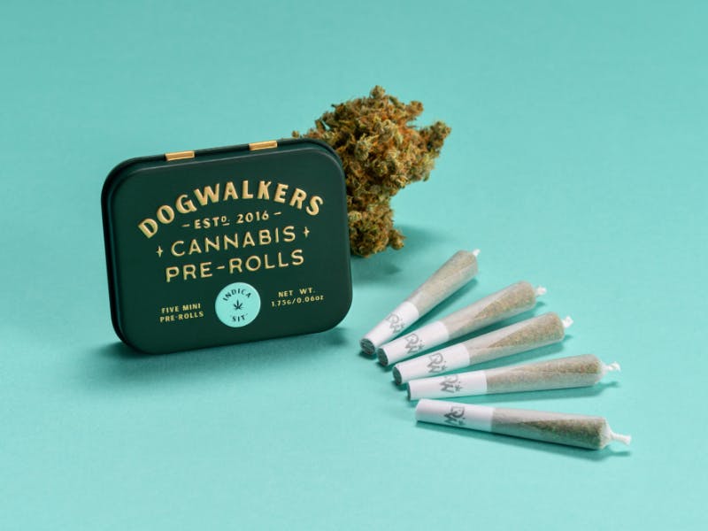 Photograph of product: Casino Kush - 12 Pack