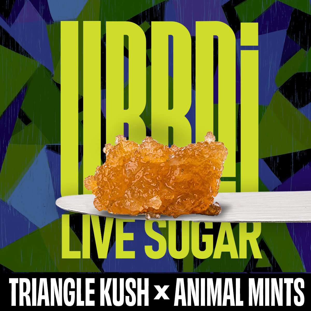 Photograph of product: Triangle Kush x Animal Mints | Live Sugar