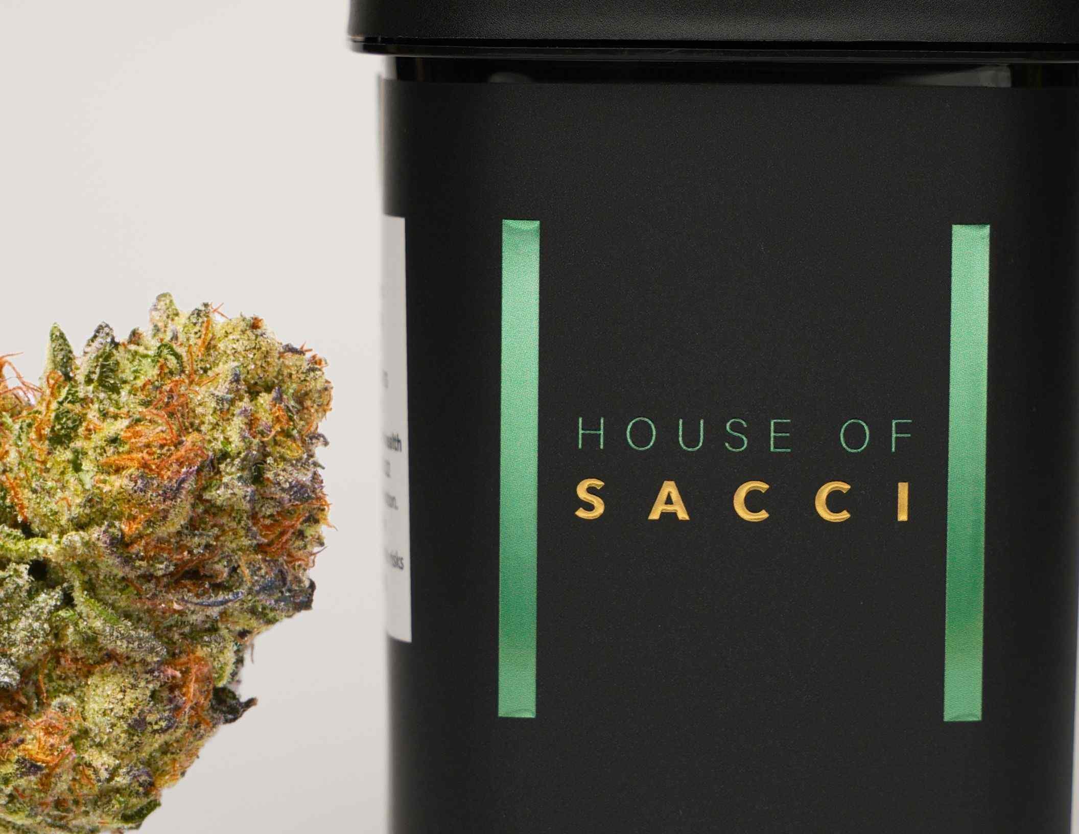 Photograph of product: HOUSE OF SACCI | JAR FLOWER | GARLIC SAUCE - 3.5g