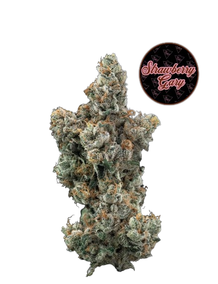 Photograph of product: Strawberry Gary Flower | 3.5g - Highmark Provisions