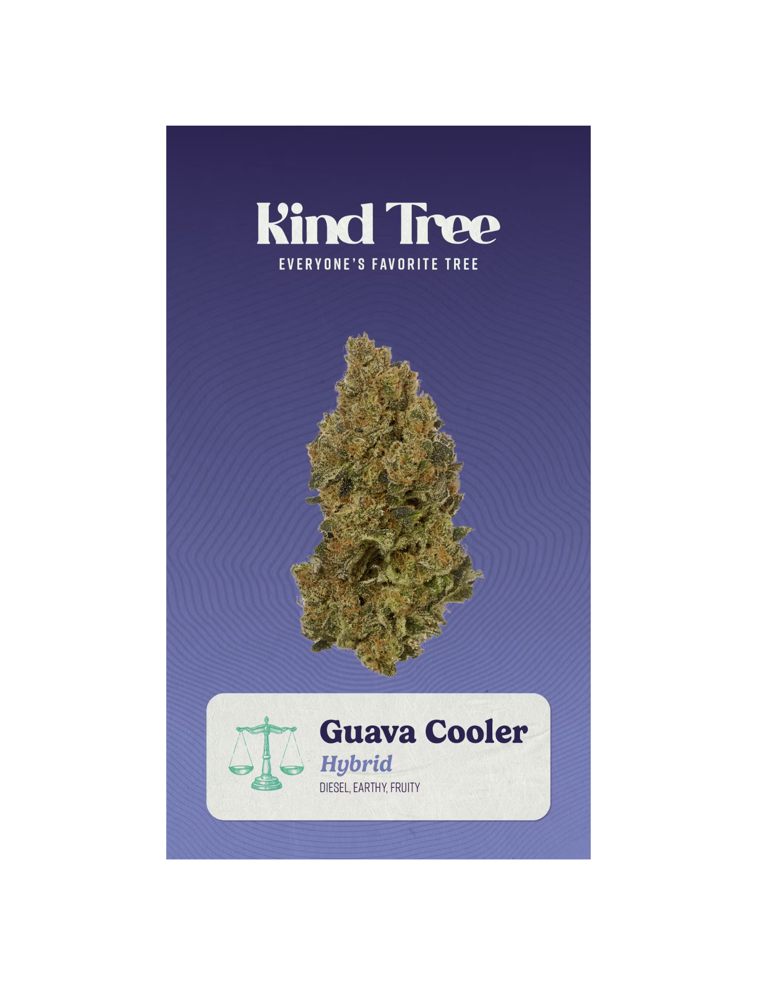 Photograph of product: Guava Cooler - (Small Buds) - 7g