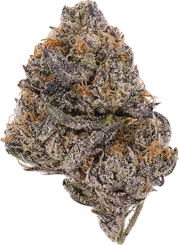 Photograph of product: White Runtz - 3.5g - Flower