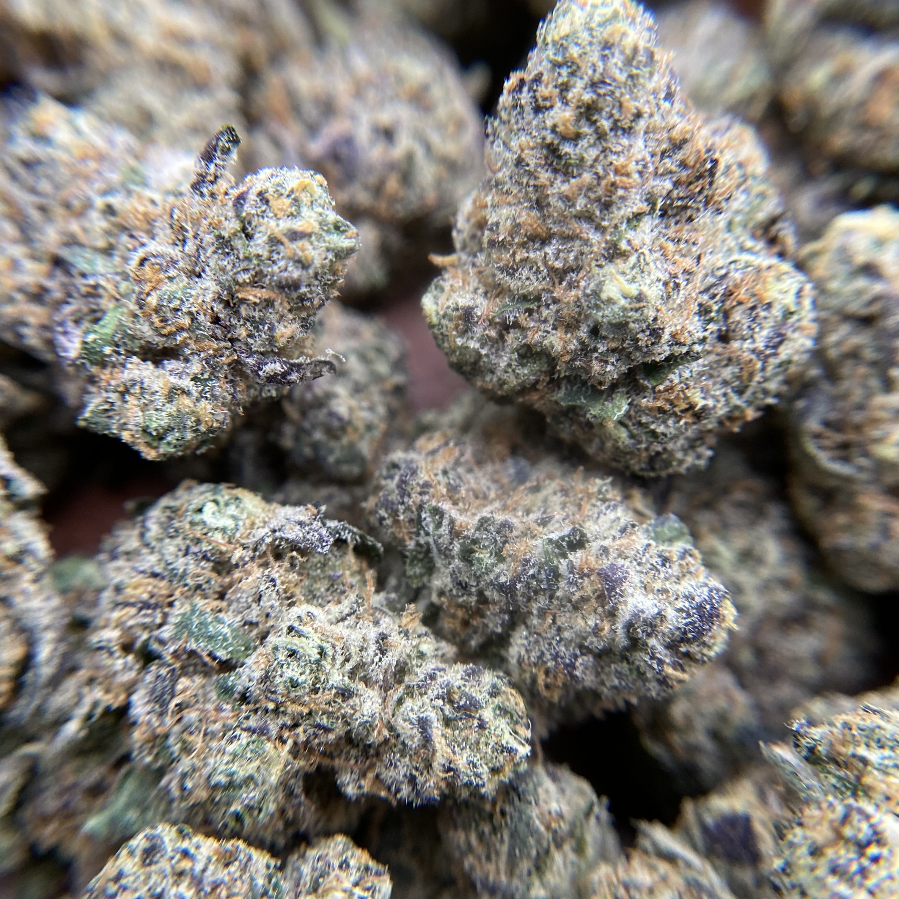 Photograph of product: INDICO: Ice Cream Cake Buds - 28g