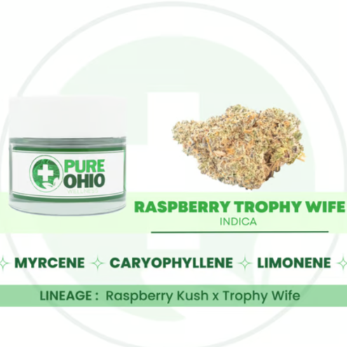 Photograph of product: Pure Ohio Wellness | 14.15g | Flower | Buds | Raspberry Trophy Wife