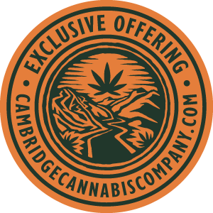 Photograph of product: CCC | Yellowbird | Double Love | Dogwalker | Pre-Roll