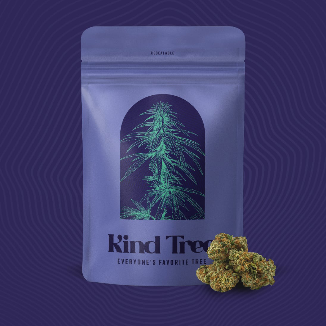 Photograph of product: Kind Tree - Dirty Banana 14g