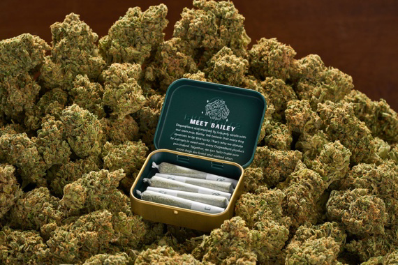 Photograph of product: 5 Pack | Oui'd | 1.75g | Tyde Podz