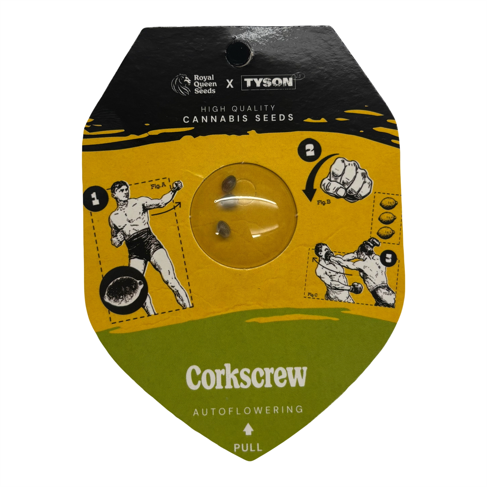 Photograph of product: Corkscrew (AUTO) - 3 FEMINIZED SEEDS