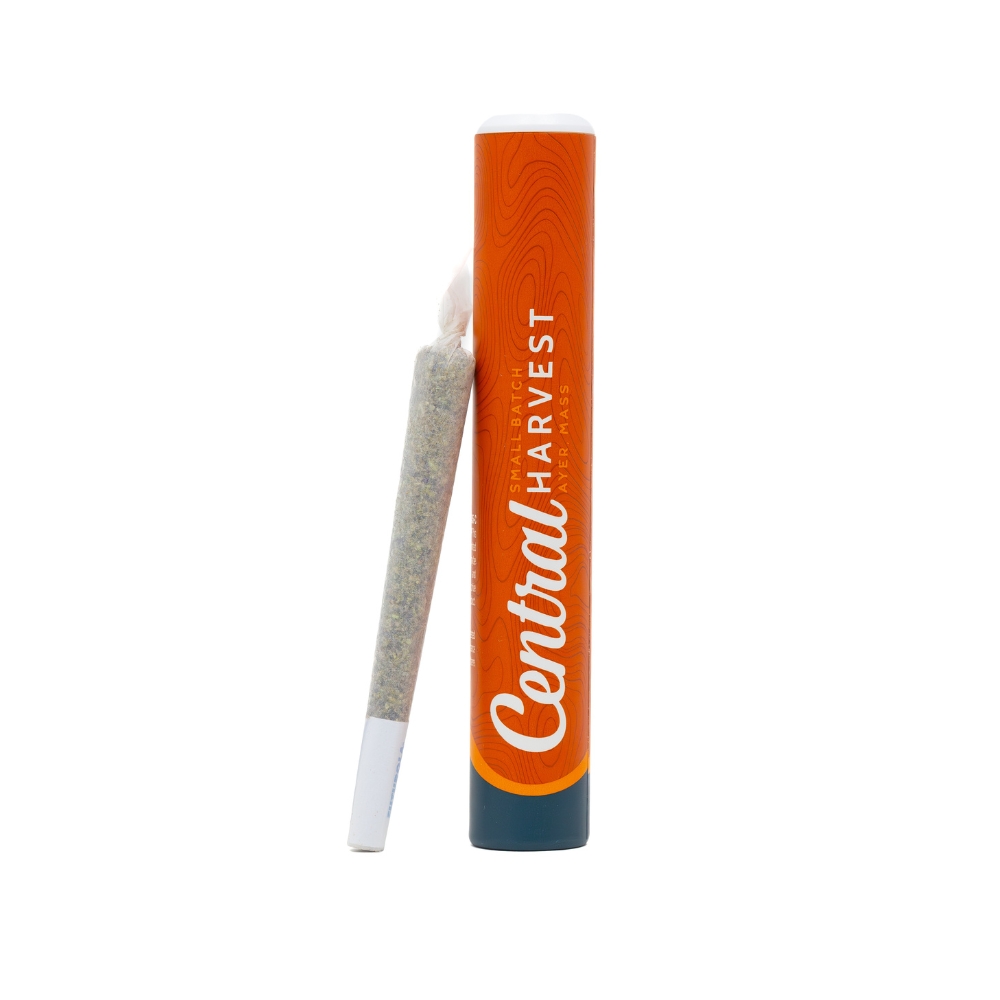 Photograph of product: Pre-Roll | Gilz Nilz | 1g