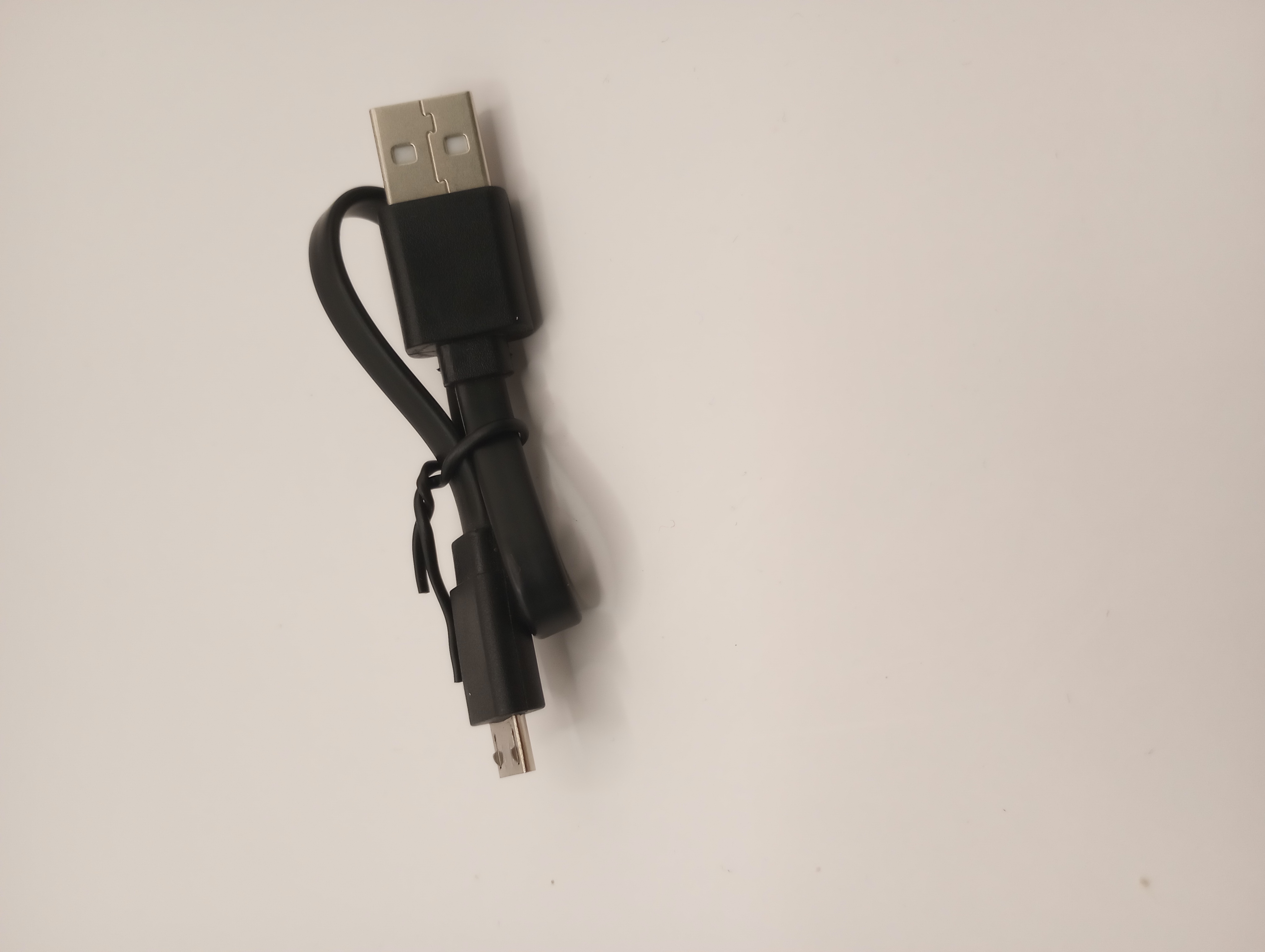 Photograph of product: Micro USB Charger