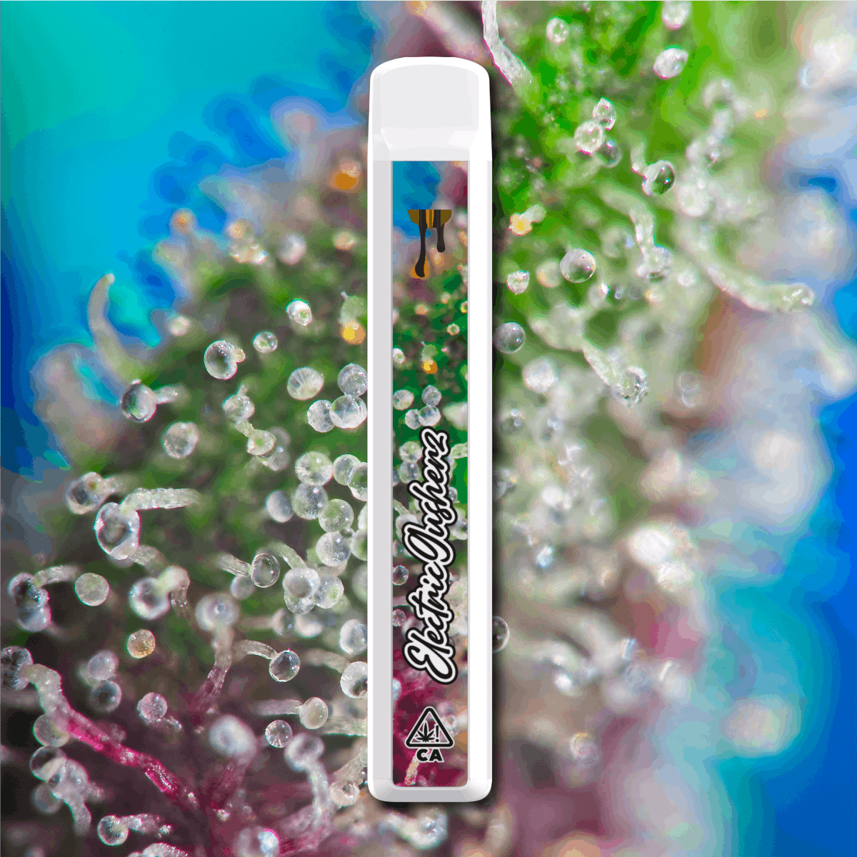 Photograph of product: Electric Gshrz Cryo Cured Resin Disposable (S)