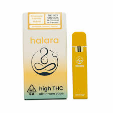 Photograph of product: Halara High THC All-In-One 1g - Pineapple Express (H)