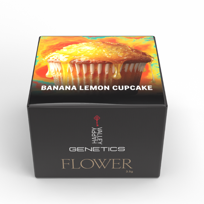 Photograph of product: Banana Lemon Cupcake - 3.5g