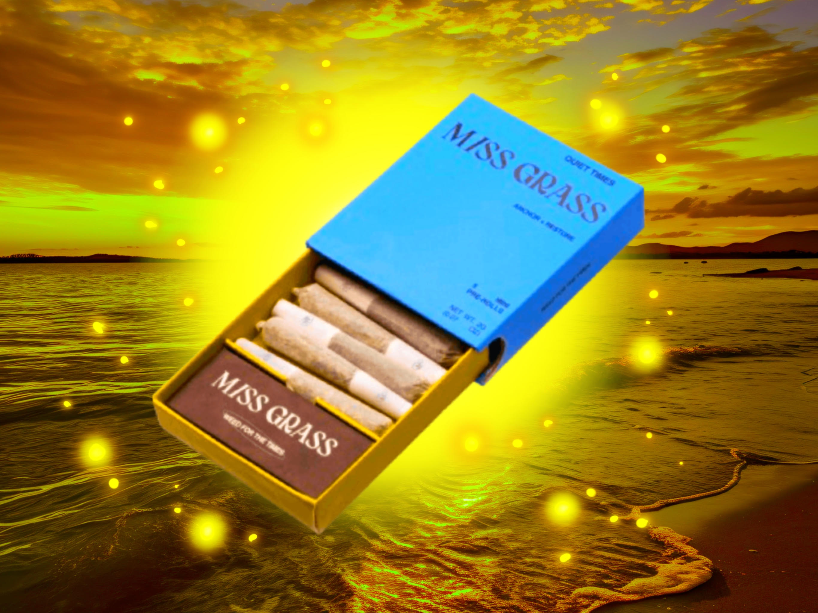 Photograph of product: Quiet Times Minis 5pk - 2g