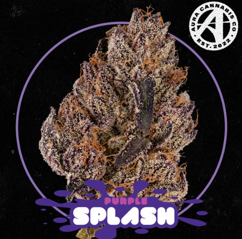 Photograph of product: Purple Splash - 3.5g
