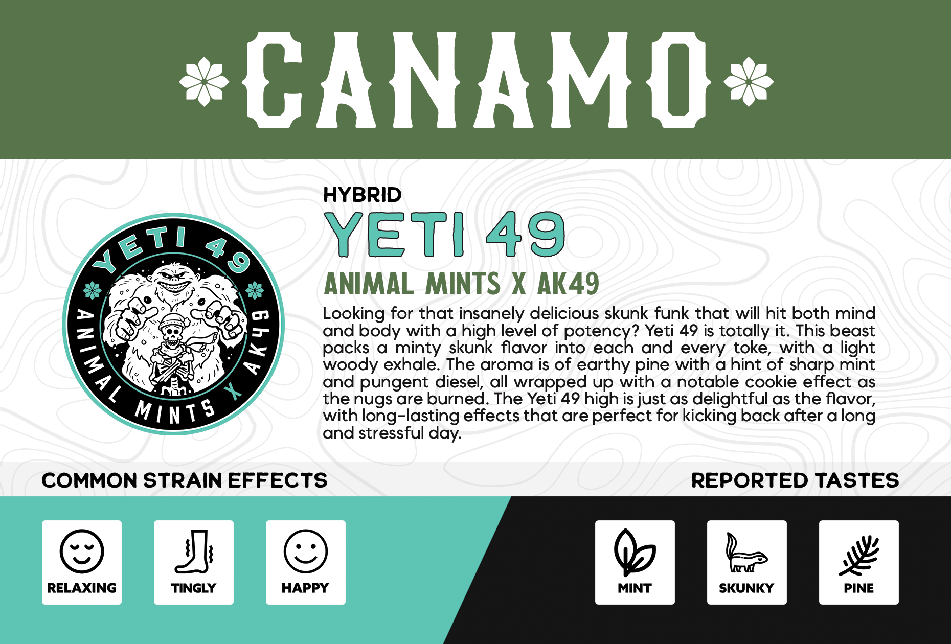 Photograph of product: Yeti 49 | 3.5.25 | FPR | 3 pk | H