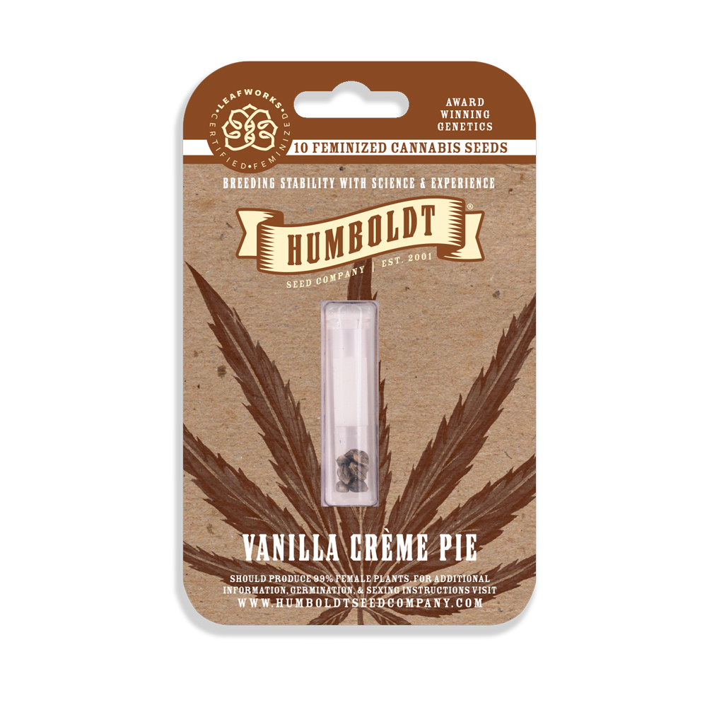 Photograph of product: HUMBOLDT SEED COMPANY - VANILLA CREME PIE FEMINIZED SEEDS 10 PACK