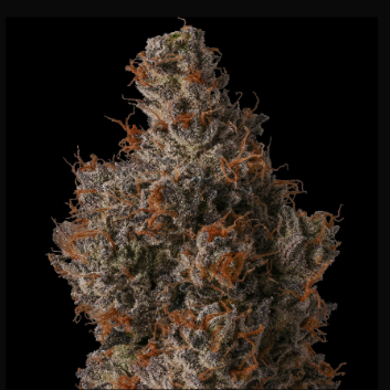 Photograph of product: TRIXXX SMALLS QUARTER (7 GRAMS)