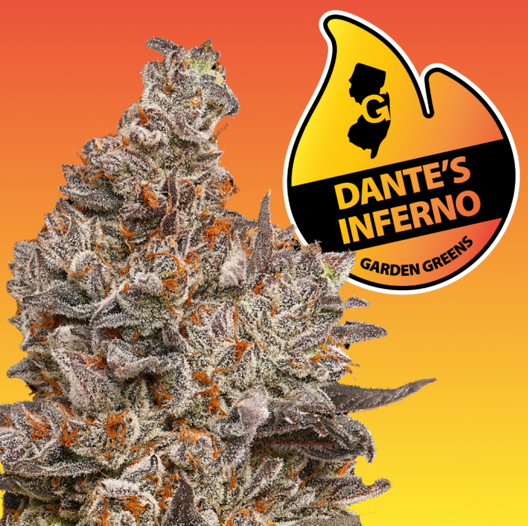Photograph of product: Garden Greens Flower 3.5g- Dante's Inferno