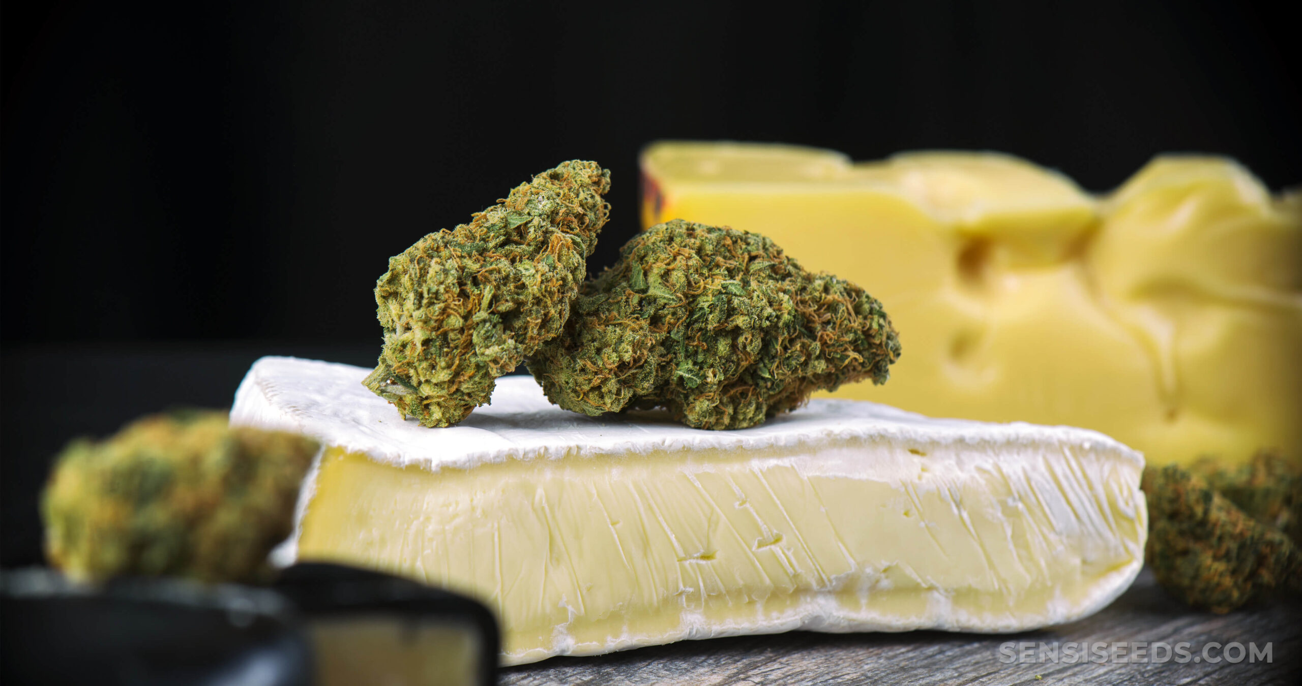 Photograph of Product: Omnium Chopped Cheese Plug Pack 28g