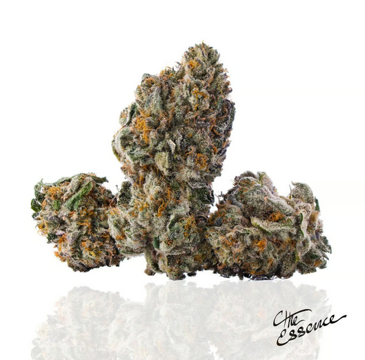 Photograph of product: Essence - Orange Push Pop 3.5g Flower