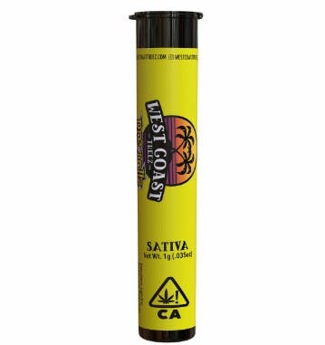Photograph of product: Hollywood Haze Preroll 1g - PR