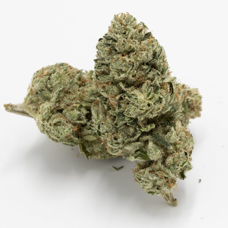 Photograph of Product: Redbud Roots Motor Milk Flower - 3.5g