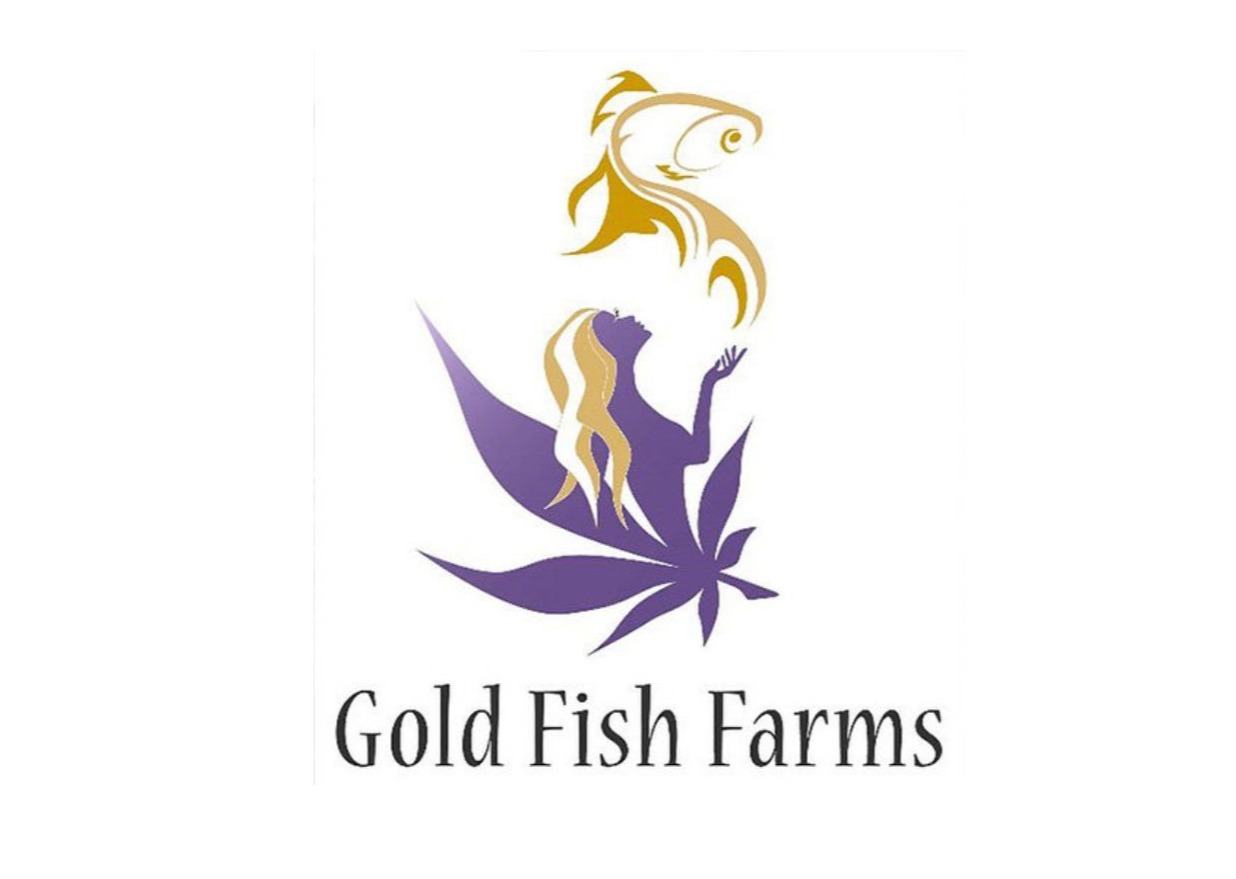Photograph of product: Gold Fish Farms - Madd Fruit Live Rosin - 1g