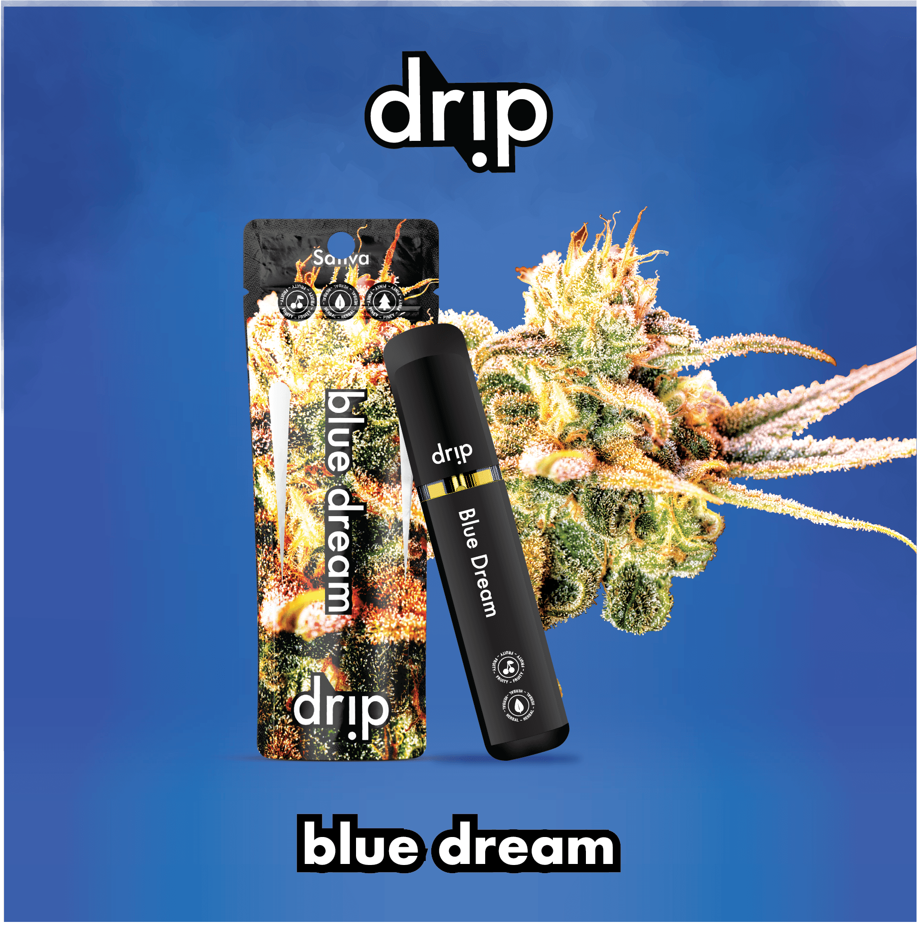 Photograph of product: Drip | Blue Dream All-In-One Disposable