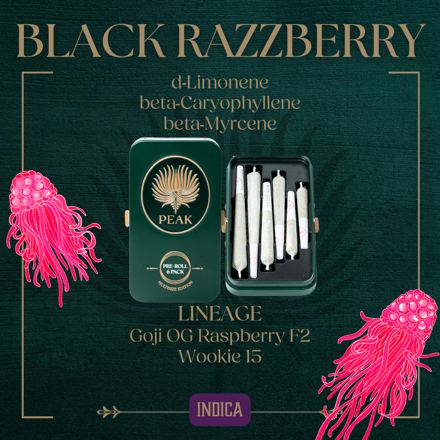 Photograph of product: Multi Size Preroll 6pk [3.5g] | Black Razzberry