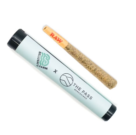 Photograph of product: Pre-Roll - GovernMint Oasis