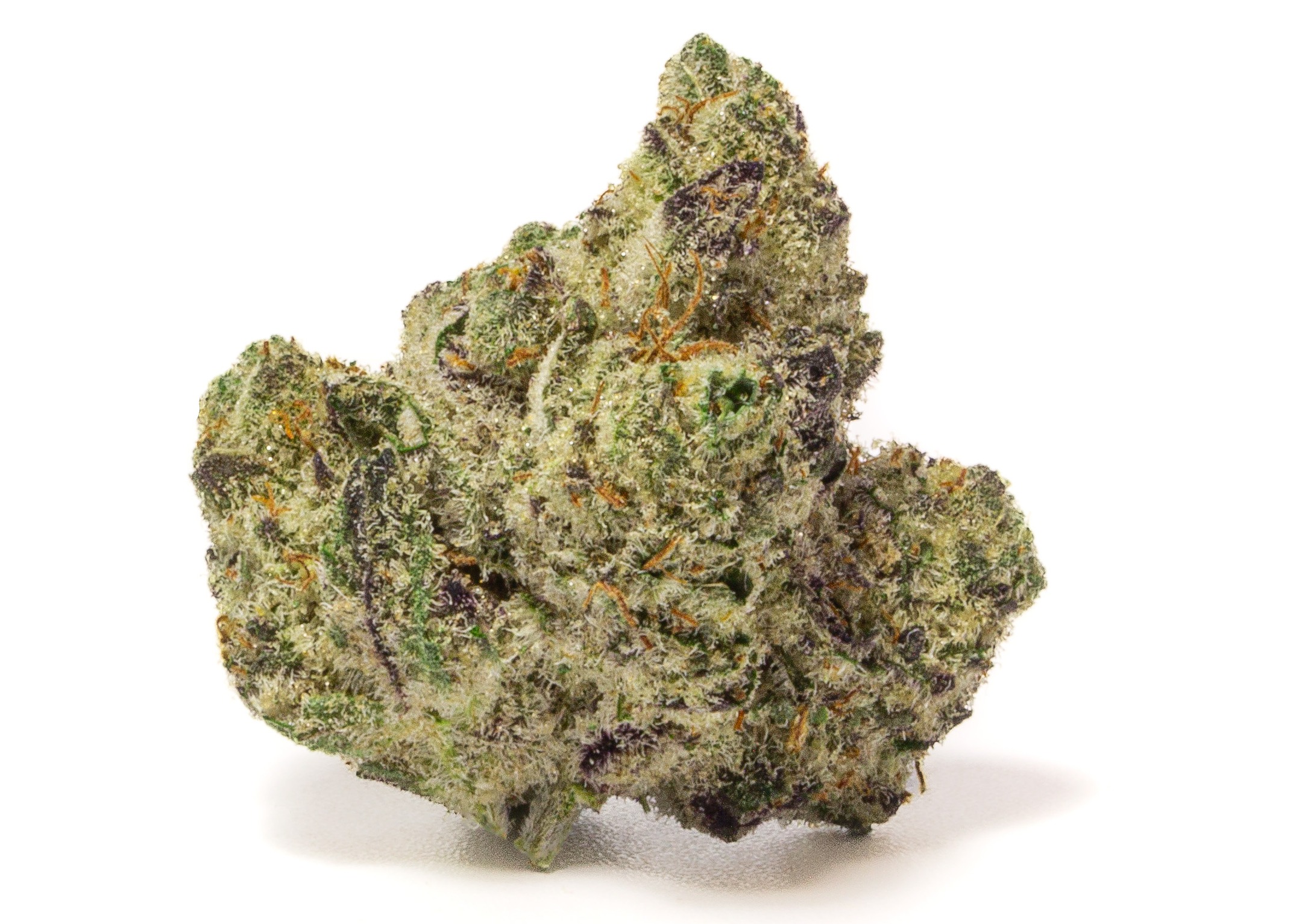 Photograph of product: Gary Poppins - Craft Indoor - 28g