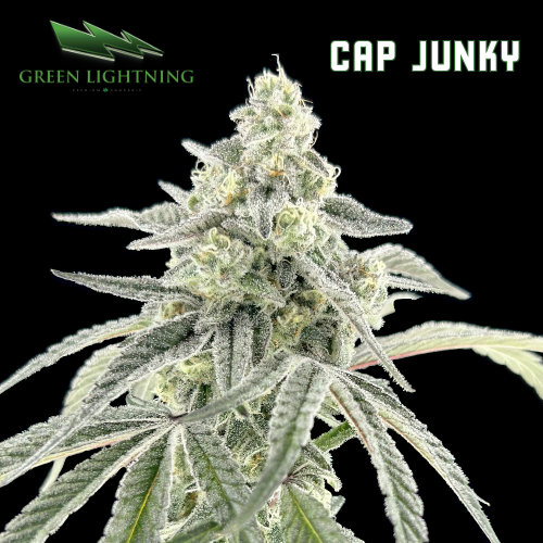 Photograph of product: GL Cap Junky - 3.5g