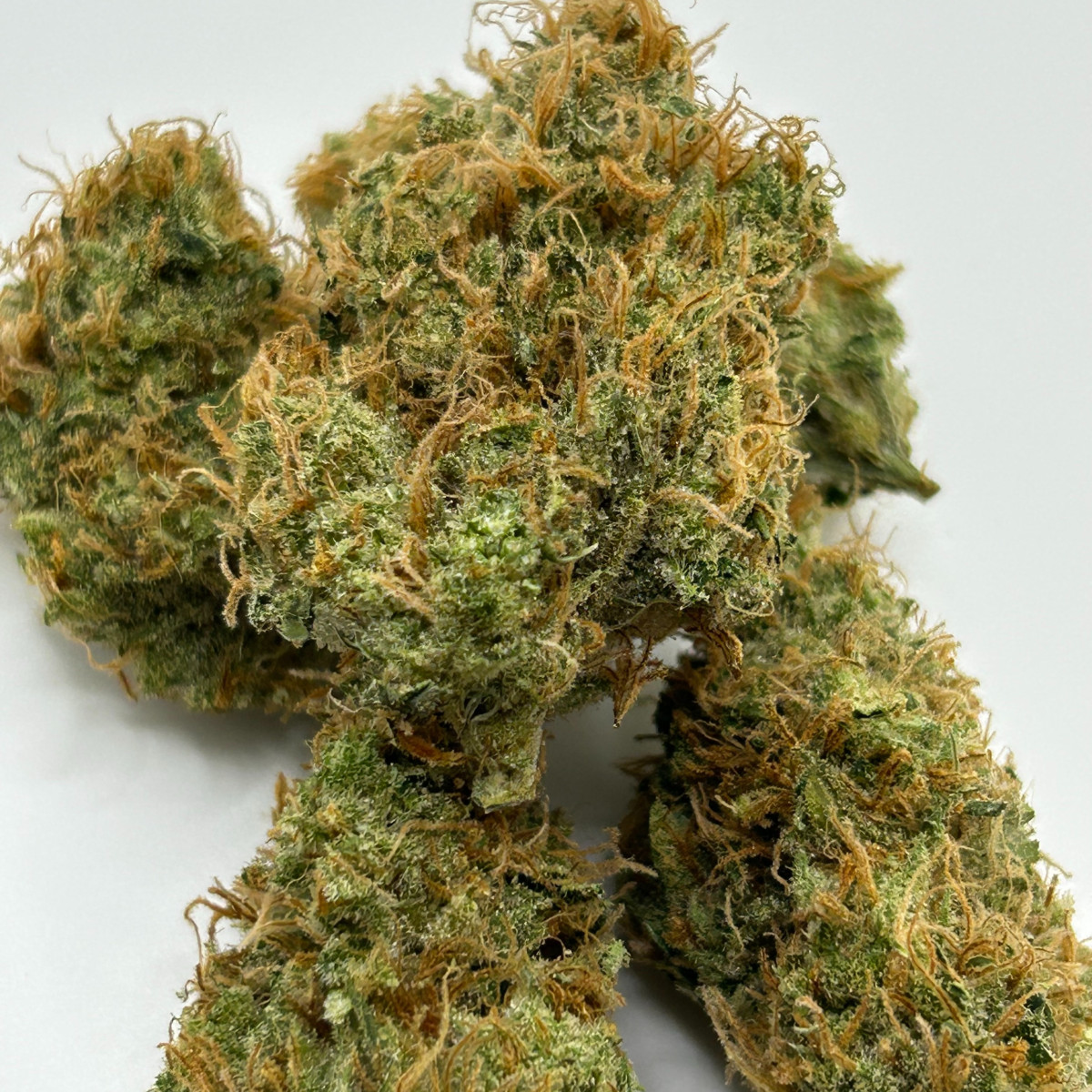 Photograph of product: Cloud 9 | Golden Goat | Bulk Flower - 28g
