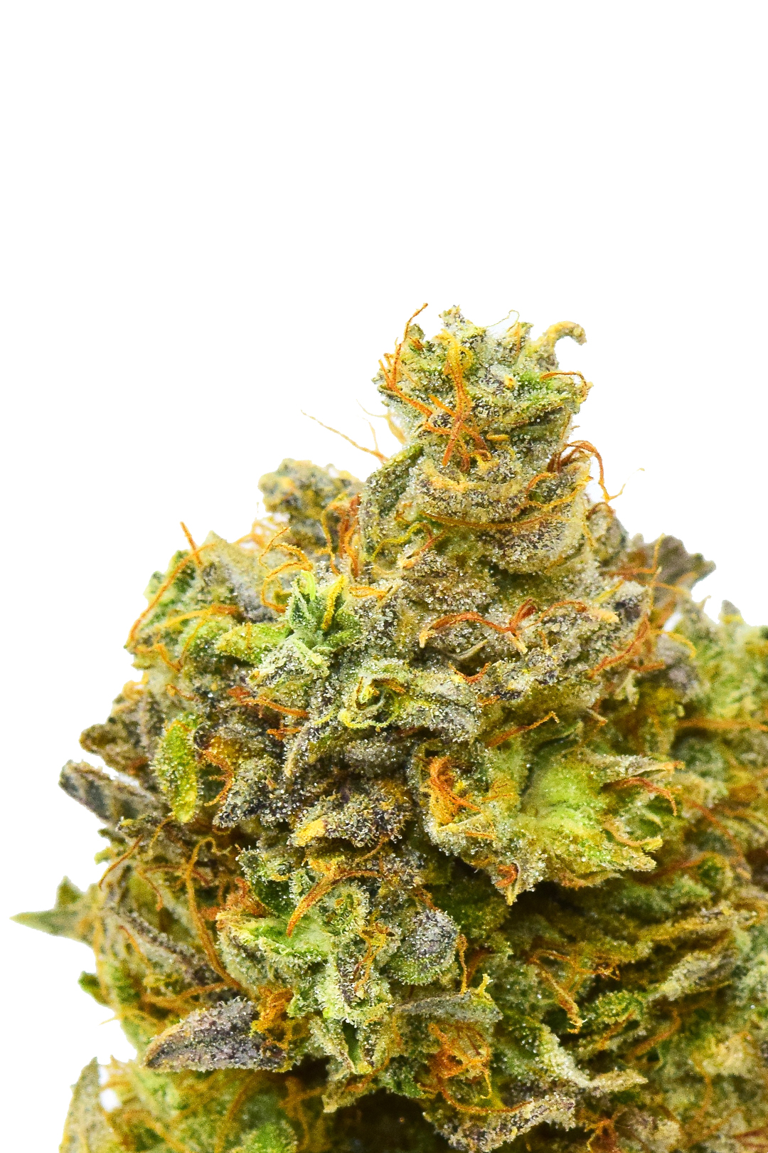Photograph of product: 710 Labs | Lemon Tart Pucker #1 - 3.5g