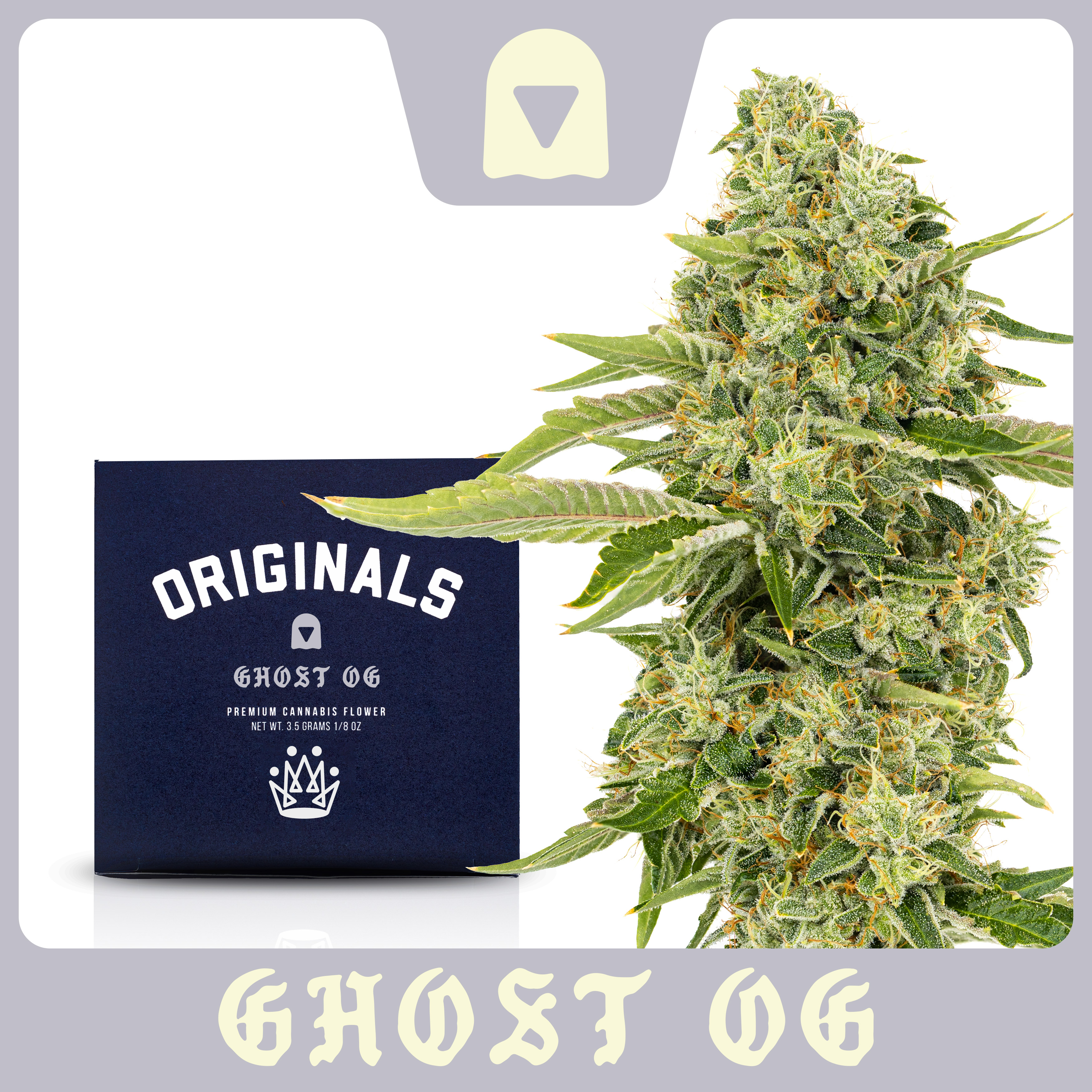 Photograph of product: ORIGINALS | GHOST OG - 3.5G FLOWER