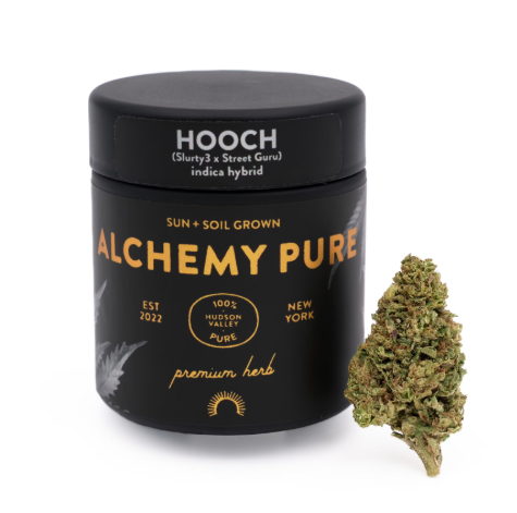 Photograph of product: Alchemy Pure | Flower | Hooch - 3.5g