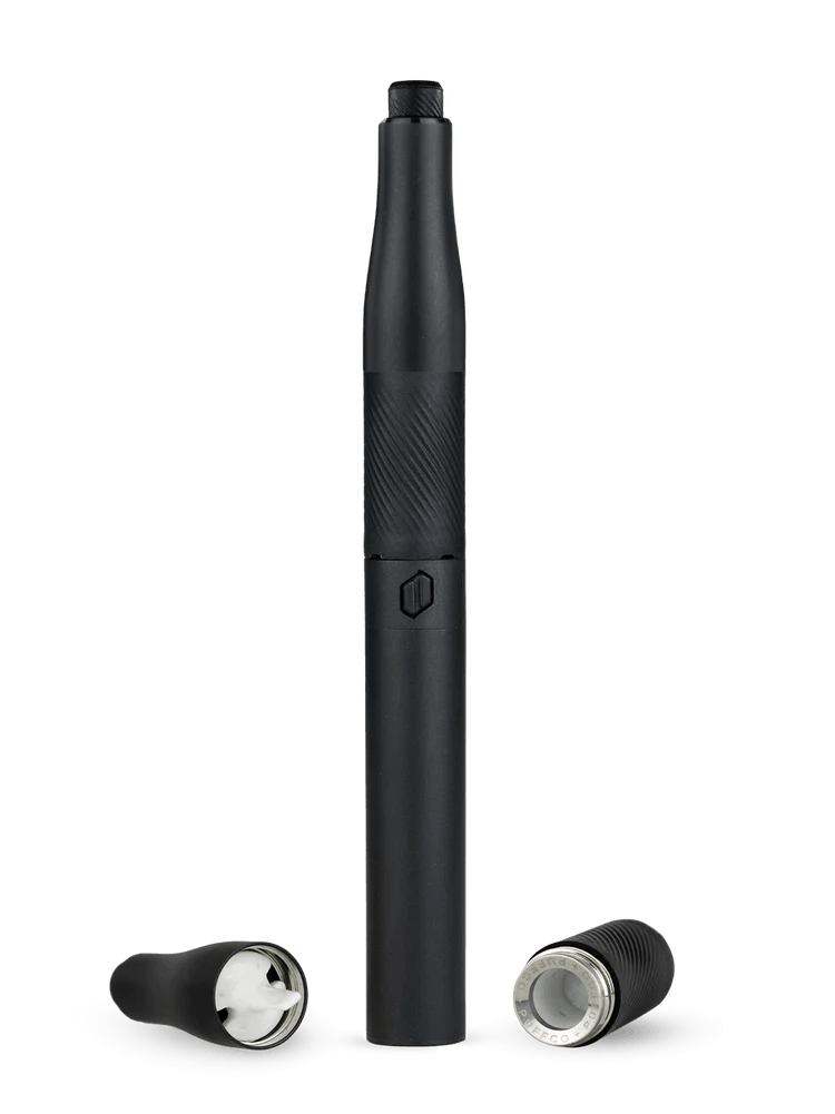 Photograph of product: Puffco Plus 2.0 Pen- Onyx