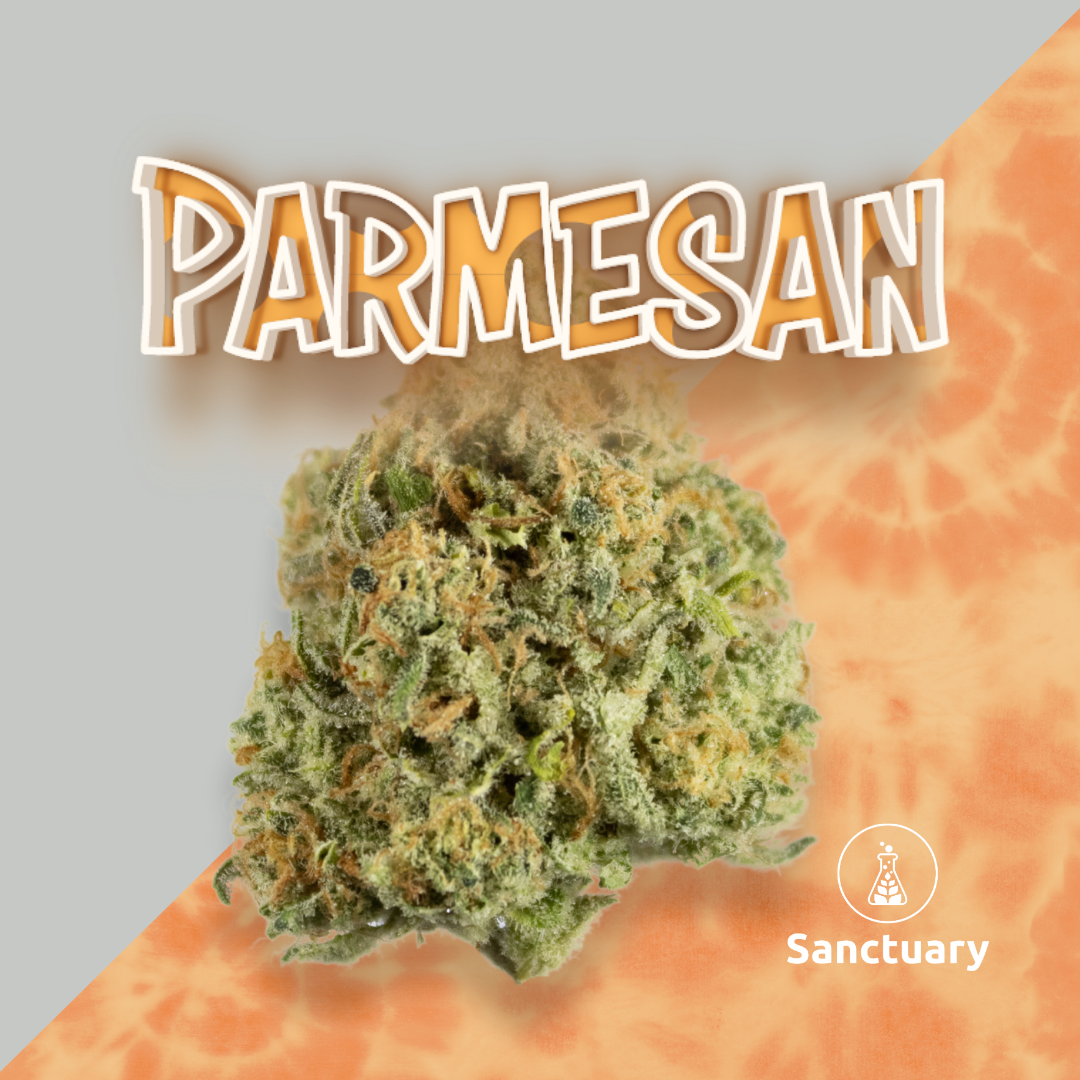 Photograph of product: Parmesan 3.5g Small Bud